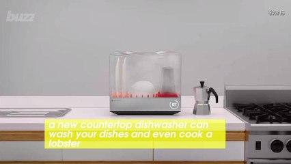 New Dishwasher Can Cook Your Lobster And Clean Your Dishes