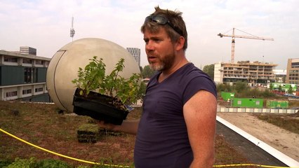 CityRoofTops - korte documentaire