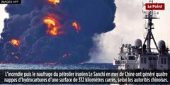 Mer de chine : l'étendue de la marée noire a triplé
