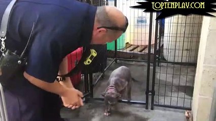 Ce chiot était malheureux et désespéré dans son refuge, mais attendez de voir sa réaction quand elle a vue le pompier qui lui a sauvé la vie