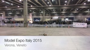 Luca Pescante Model Expo Italy 2015 - Align T-Re