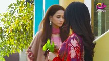 Is Chand Pay Dagh Nahi Episode 29