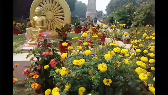 Giant Buddha Statue | Sarnath | Varanasi
