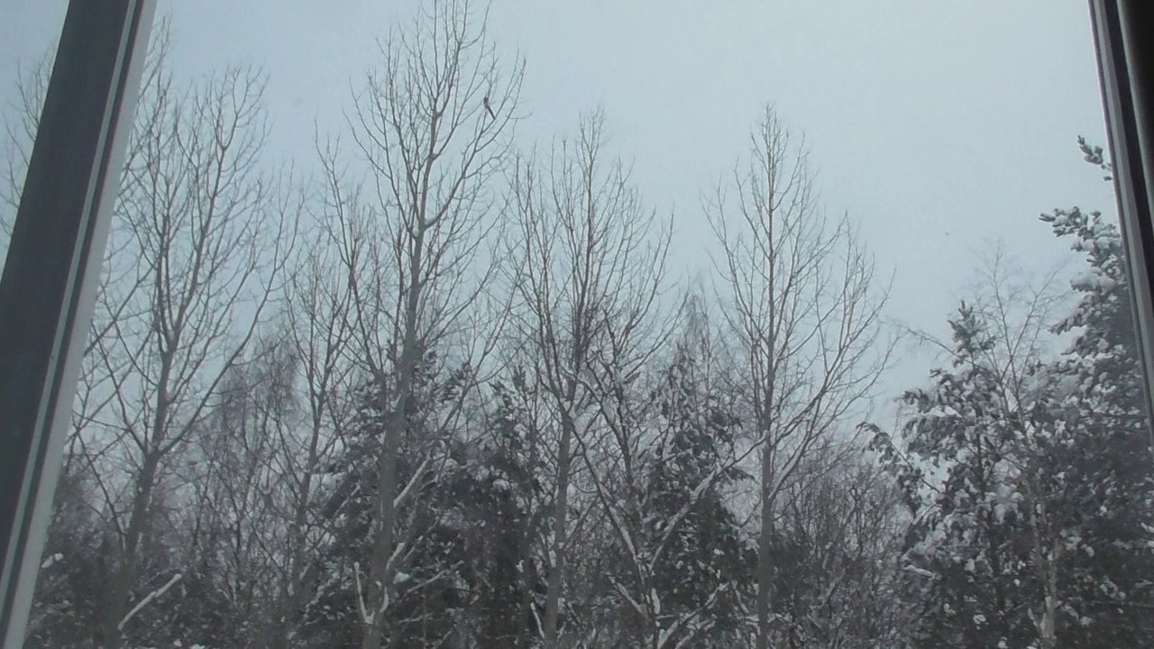 Jan 22 2018 B3