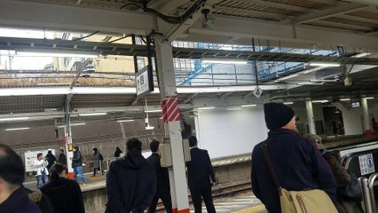 【豊田駅】特急なごみ(E655系)通過！
