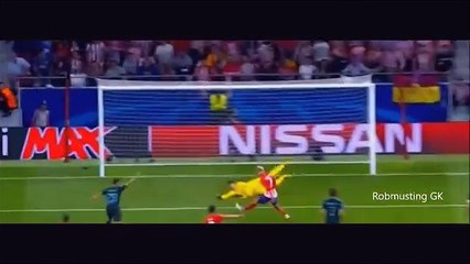 Présentation de Thibaut Courtois