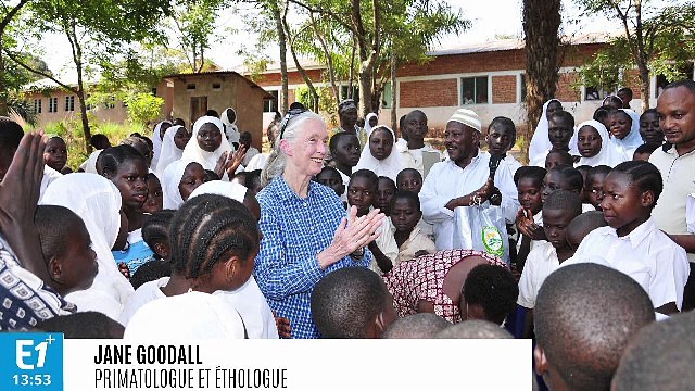 Docteur Jane Goodall, primatologue et fondatrice du Jane Goodall Institute