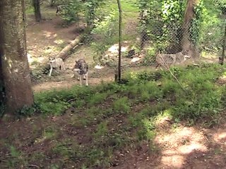 Parc du Reynou-Loups (8)