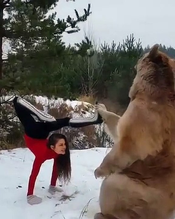 Un ours donne un coup de main à une fille qui fait du Yoga à la forêt !