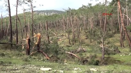 Antalya'da Fırtına Yıktı Geçti, Alt Geçitler Suyla Doldu