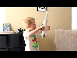 Did Bigfoot Eat My Cookie Extreme Toys TV gets Another Visit from Sasquatch