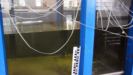 Following a wave propagation in a canal SIWRR