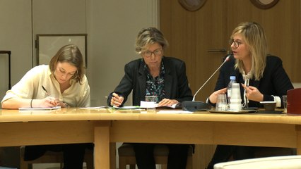 [Violences sexuelles] Audition de Flavie Flament