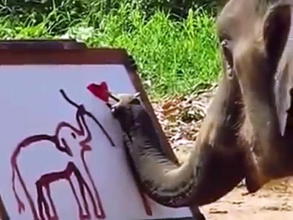 Super Talented Elephant