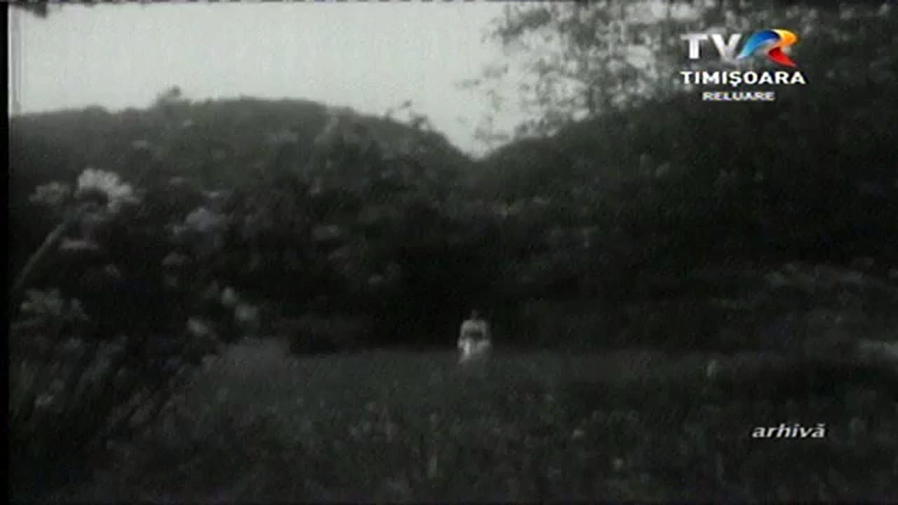 Mariana Draghicescu - Stii tu, bageo, ce ti - am spus (arhiva)