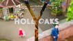 Hollyoaks 22nd January 2018-Hollyoaks 22nd January 2018-Hollyoaks 22nd January 2018-Hollyoaks 22nd January 2018-Hollyoaks 22nd January 2018-Hollyoaks 22-1- 2018-