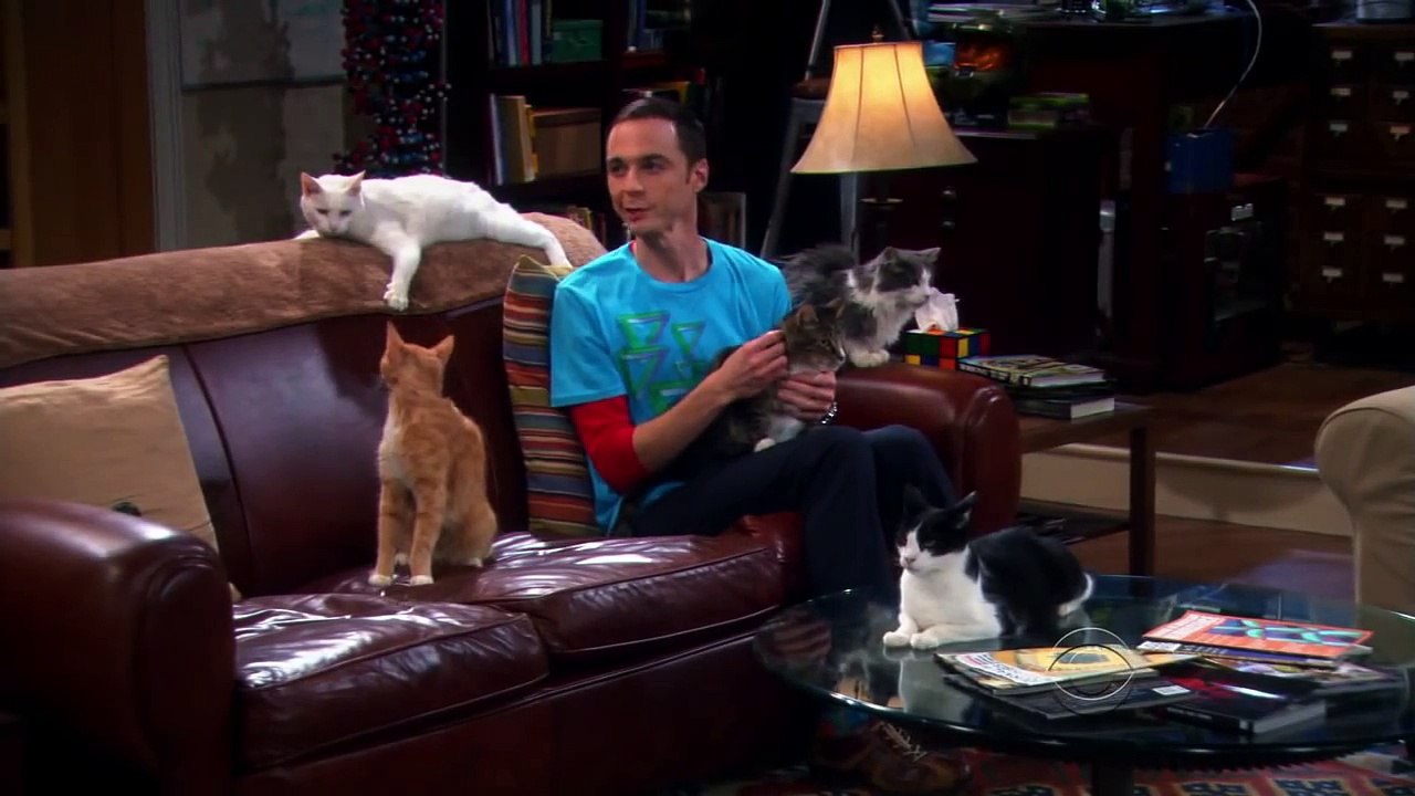 The Big Bang Theory - Season 4 Episode 3