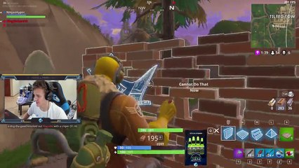 Fortnite #0232: "Destroyed by Ninja"