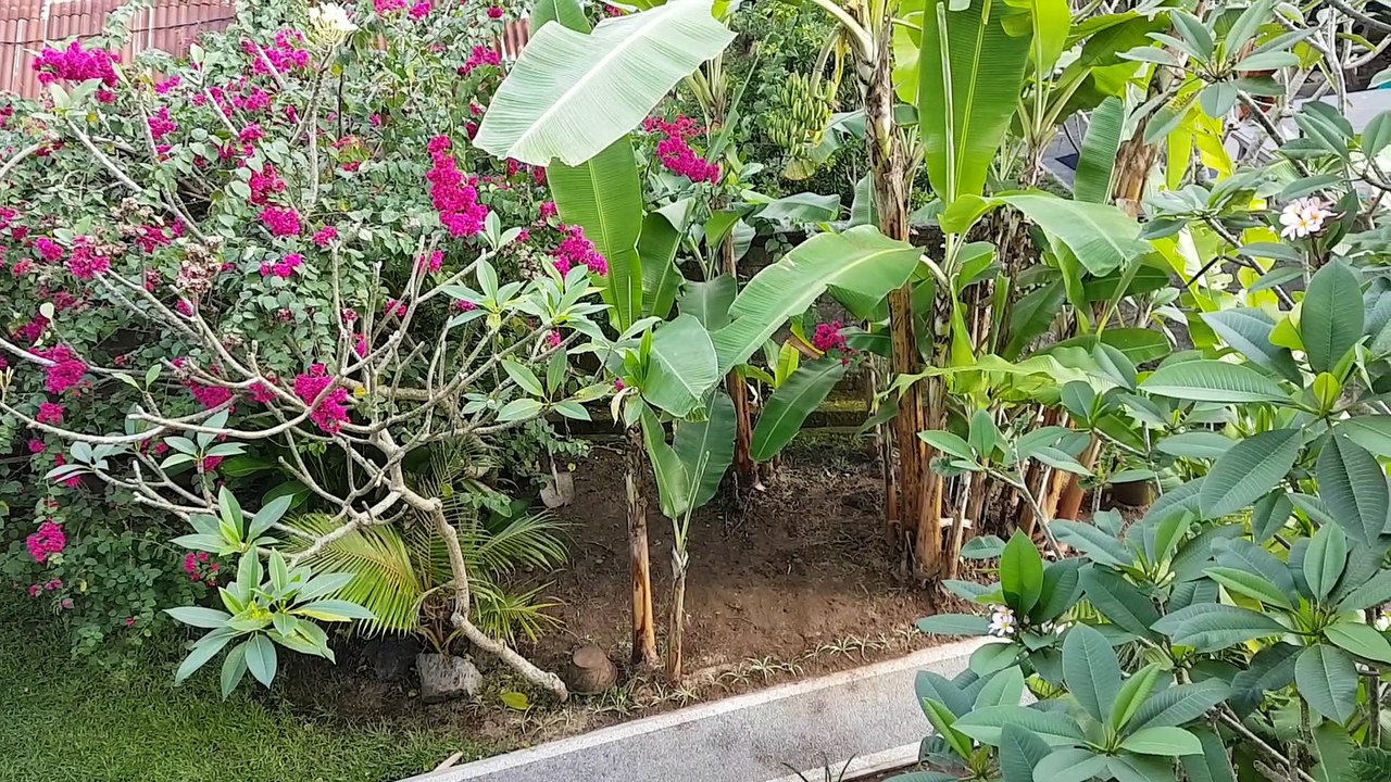 Roomtour Sakha House in Ubud (Bali 2017)