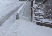 Farmers Feed Cattle Amid Nebraska Snowstorm