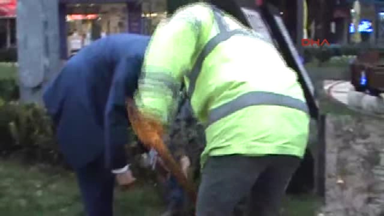 Aydın Afrin Operasyonuna Zeytin Fidanı Dikerek Destek Verdi