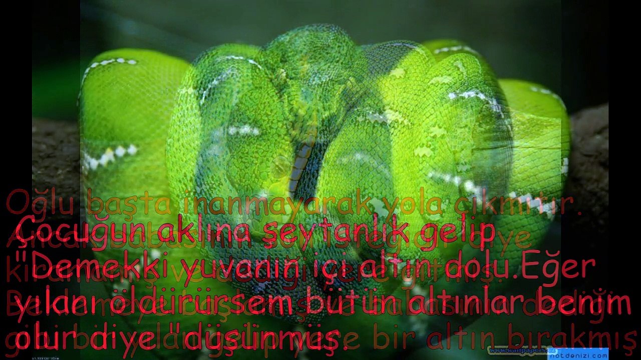 İBRETLİK HİKAYE " YAŞLI ADAM İLE YILANIN DOSTLUĞU "