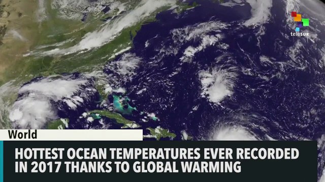 Hottest Ocean Temperatures Ever Recorded in 2017