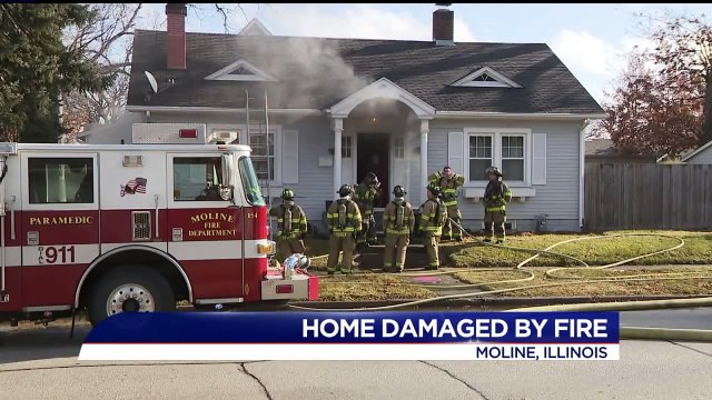 Two Dogs Rescued from Basement of Burning Illinois Home