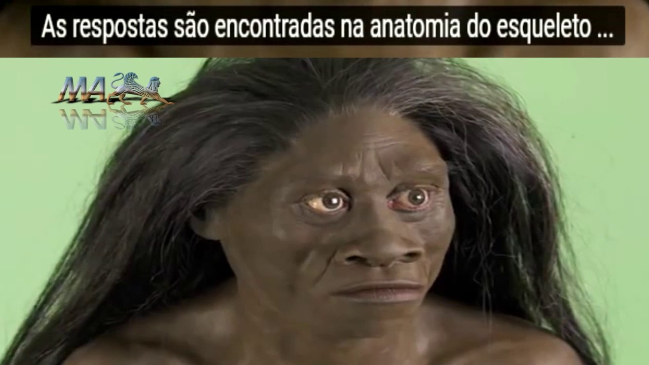 "Hobbits nas Florestas da Indonésia?"