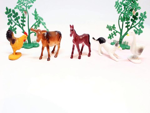 Learn Animals Names & Numbers - Kids Learning Educational Video for Children Farmer in the Dell song