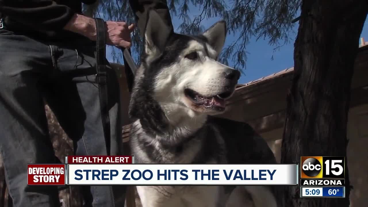 Strep Zoo pet illness hits the Valley