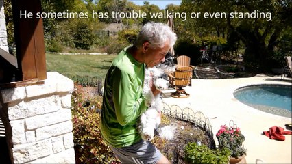 Caring for an Elderly Havanese - Aqua Therapy