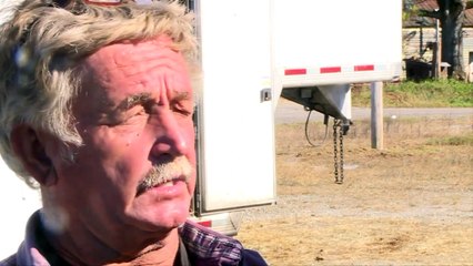 Judge Rules Elephant at Center of Animal Abuse Controversy Will Remain at Sanctuary