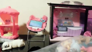 Lps Snickers Filming Room Tour