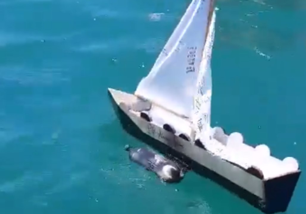 Grandfather's Ashes Set Sail From Australia to...