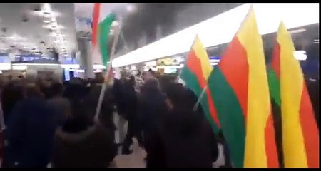 Hannover-Langenhagen Havalimanı'nda Afrin arbedesi