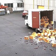 룸알바 @유흥알바는 알바가자@ 룸알바 고액여성알바