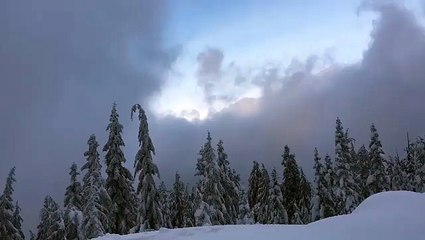 @ 구글검색=알바가자여성고액알바 룸알바 유흥알바 구인구직을 희망합니까?@ 고액알바 #유흥알바 #룸알바