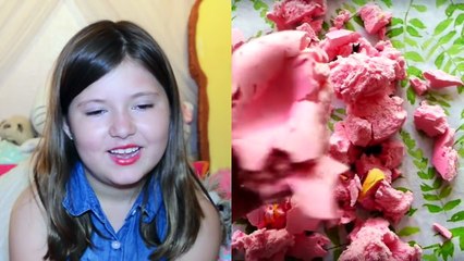 Reing to EXTREME SQUISHY DARES ~RIP Squishies!! | Sedona Fun Kids TV