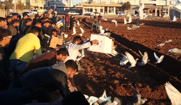 Şanlıurfa'da 'Kuş Döküşü' Heyecanı Yaşandı
