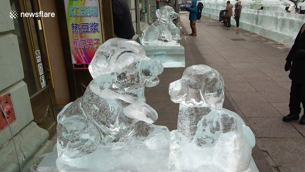Intricate ice dog sculptures displayed at the world's largest winter fair