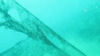 Denizden Binlerce Metrekare "Hayalet Ağ" Çıkardılar