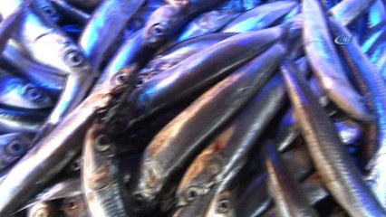 Ne Rus ne de Gürcü hamsisi mutlu etmedi