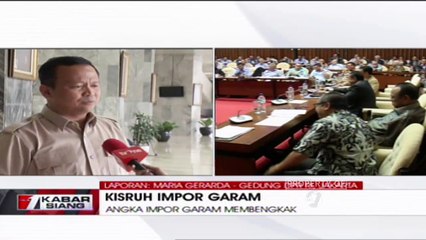 Ditanya Soal Impor Garam, Ini Jawaban Komisi IV DPR RI