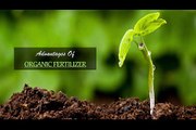 Advantages Of Organic Fertilizer - Grow Your Plants Organically