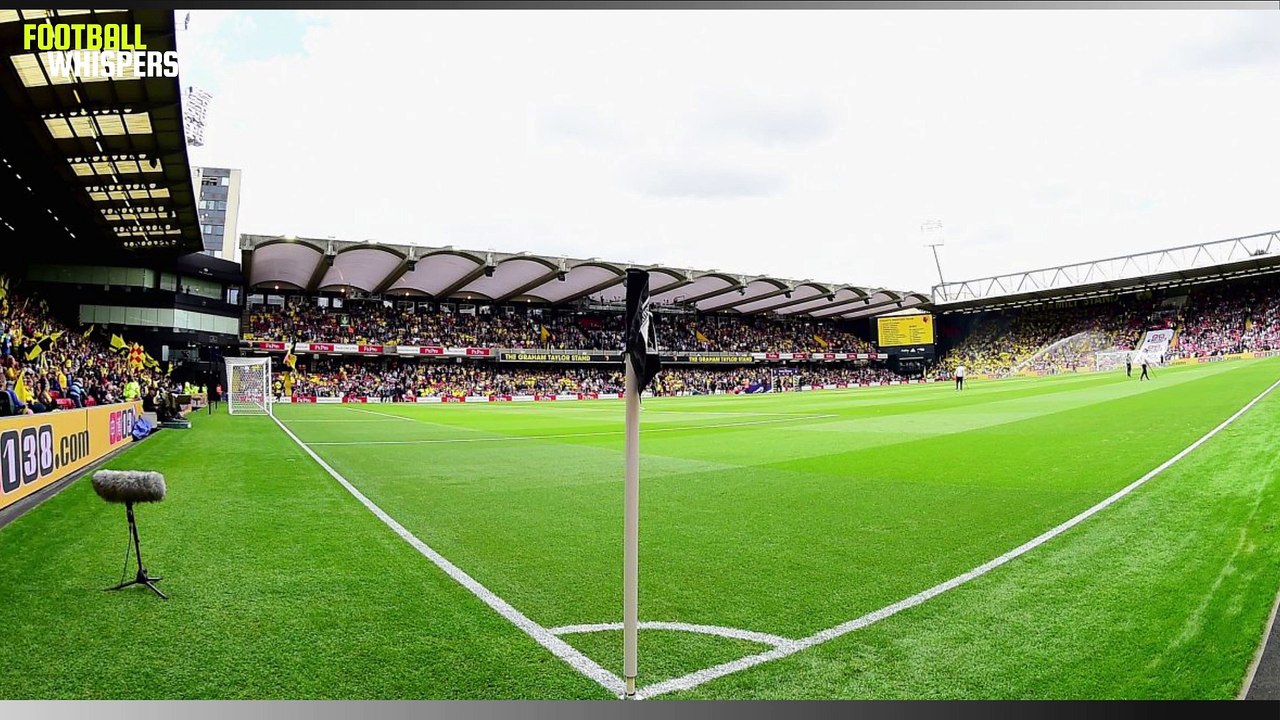 Profile: Javi Gracia | Watford  | FWTV