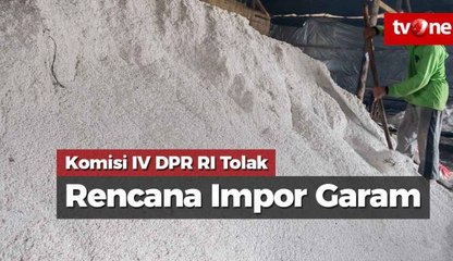 Komisi IV DPR RI Tolak Rencana Impor 3,7 Ton Garam