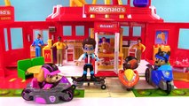 Paw Patrol Skye Chases Baby Puppies Colorful Toys for Children | Fizzy Fun Toys