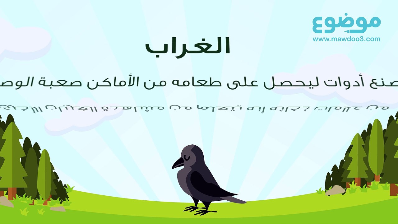 الحيوانات الذكية