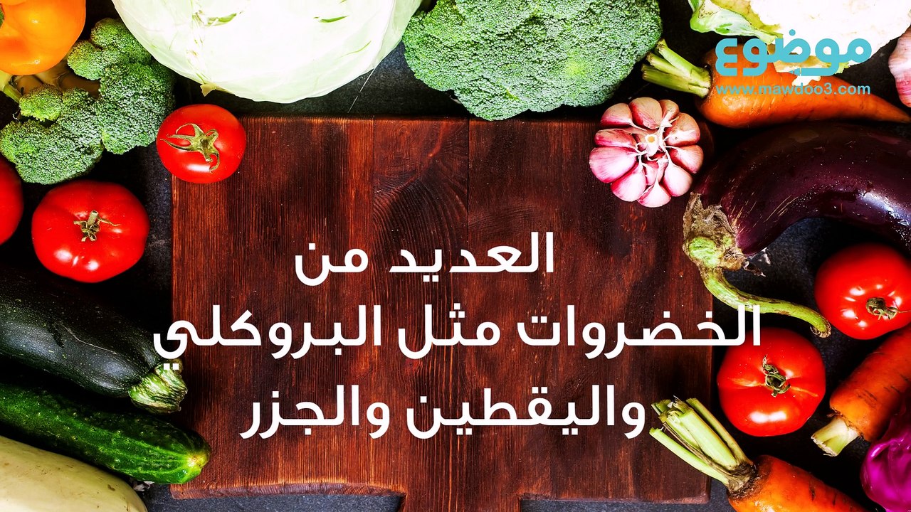 طعام الكلاب